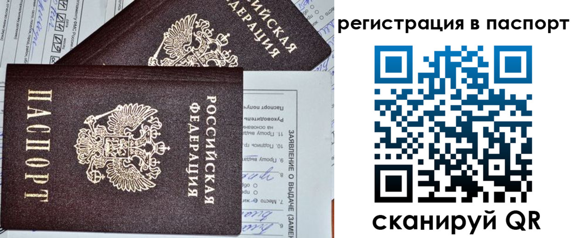 прописка законно в Будённовске